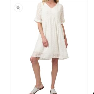 Zenana Swiss Dot Babydoll V-Neck Dress